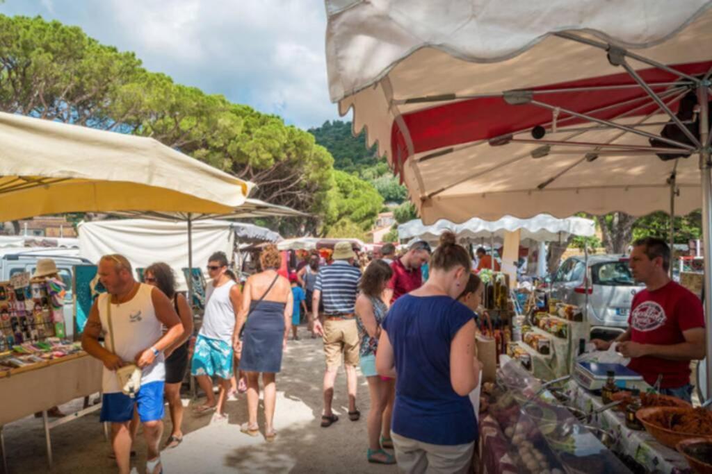 Magnifique Studio A 50M De La Plage De Cavaliere - Studio Tamarindo Le Lavandou Zewnętrze zdjęcie