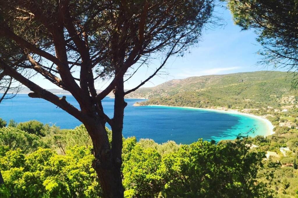 Magnifique Studio A 50M De La Plage De Cavaliere - Studio Tamarindo Le Lavandou Zewnętrze zdjęcie