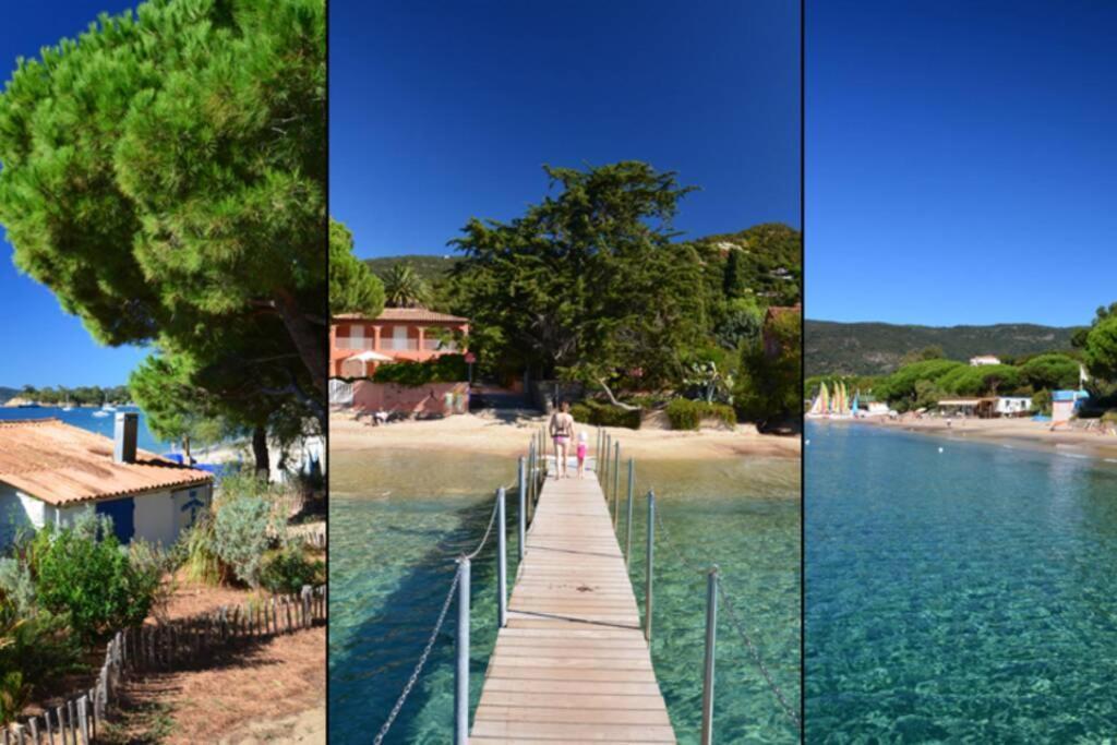 Magnifique Studio A 50M De La Plage De Cavaliere - Studio Tamarindo Le Lavandou Zewnętrze zdjęcie